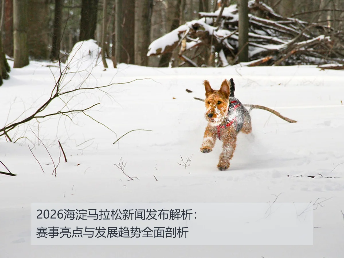 2026海淀马拉松新闻发布解析:赛事亮点与发展趋势全面剖析